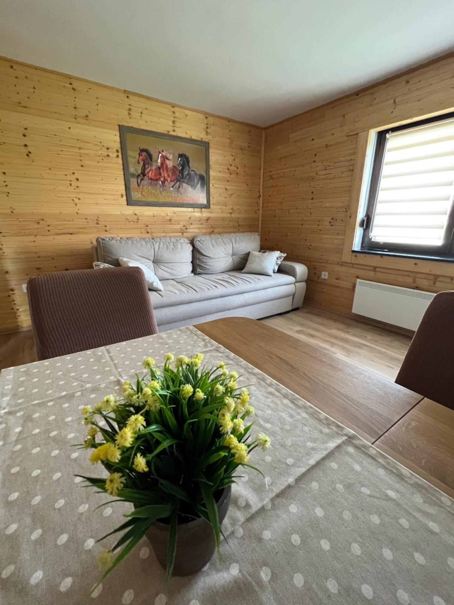 Zen Den Apartment